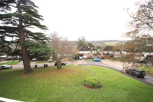 Photo 16- click for photo gallery